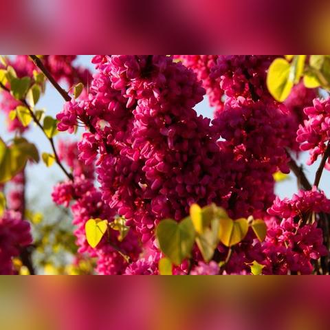 怎么去西安市汽车站