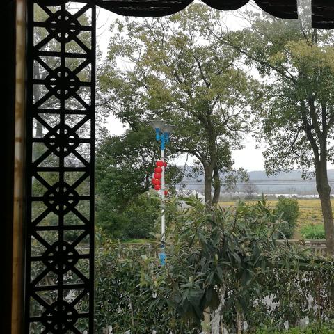 无锡市采枇杷在哪里采