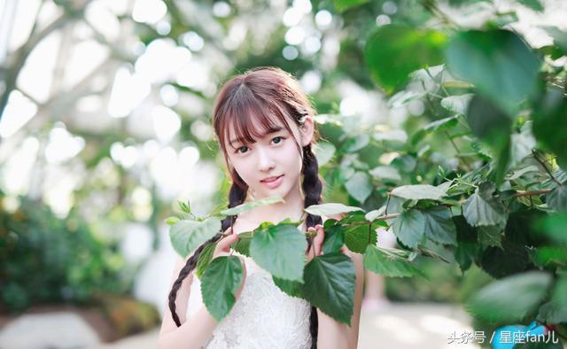 '任劳任怨指代表更佳什么生肖谜团精选释义解释'