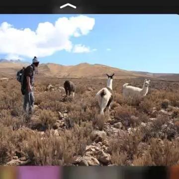 INTOUCH图库网站百度长尾关键词有哪些