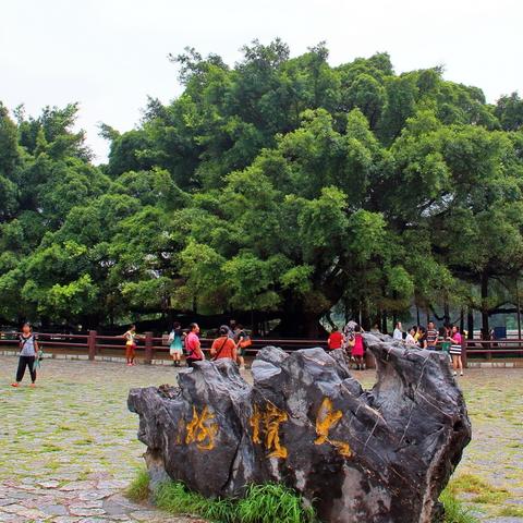 桂林市十七中怎么样?