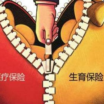沈阳市职工社保缴费指数怎么算的