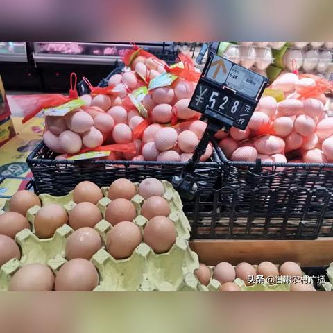 【兰州今日菜价】2025年5月24日兰州菜价是多少