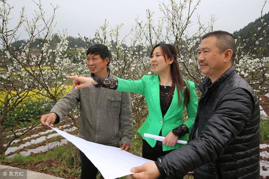 让农村年轻人进入村干部队伍，带头致富，这三种观点都有道理