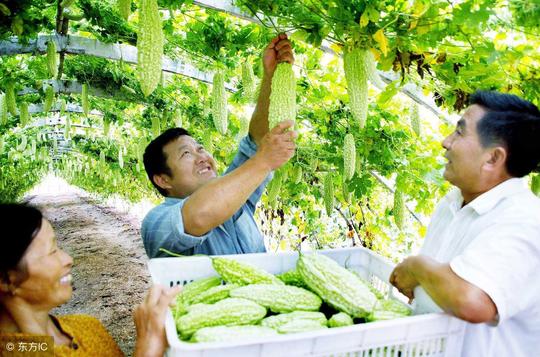 农民创业缺钱怎么办？10大融资方法和五大双创模式，帮农民成功！
