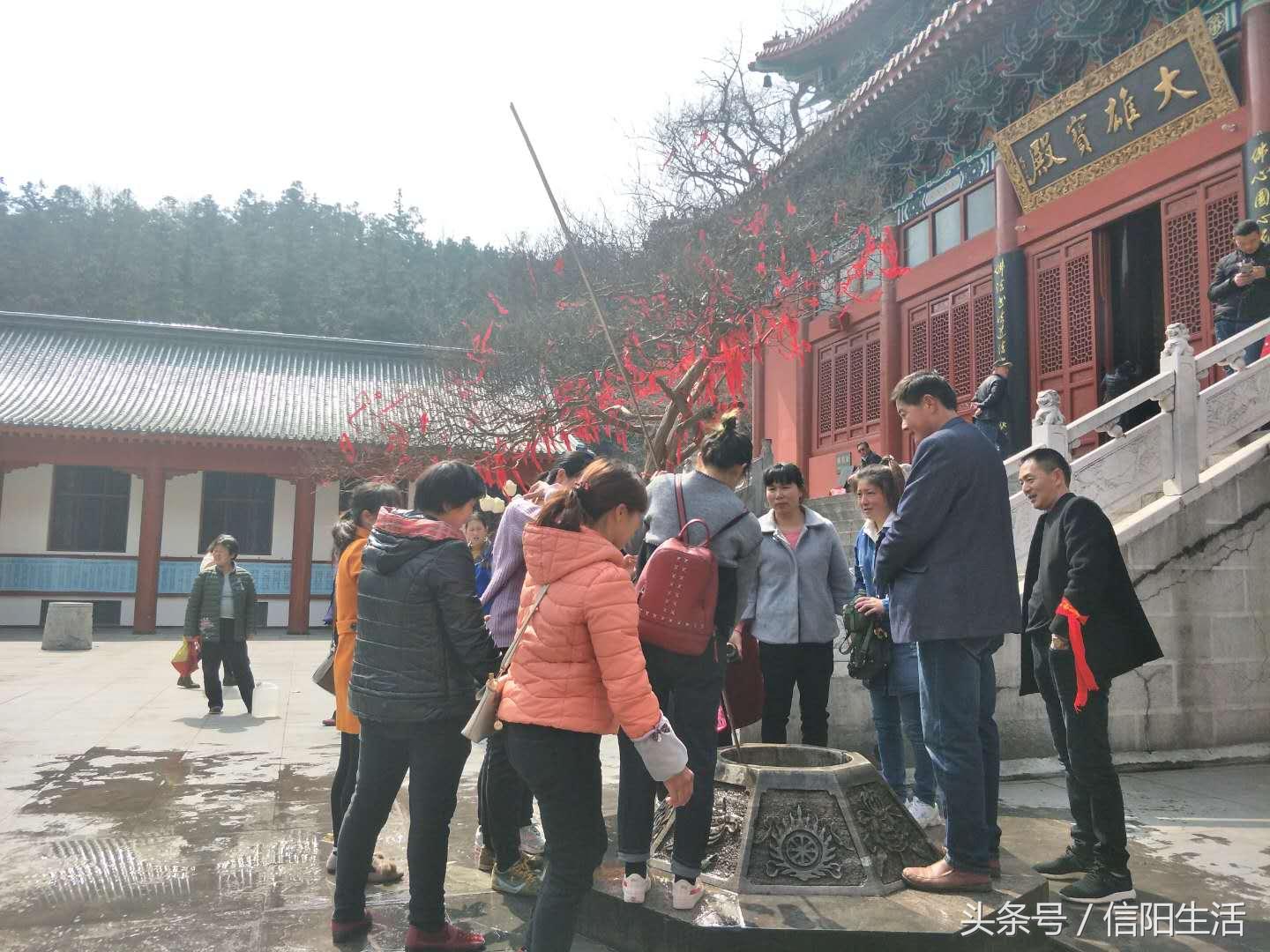 春游准备什么美食好（春游去哪玩比较好）