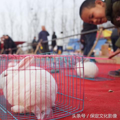 保定市哪里卖布鞋的多啊