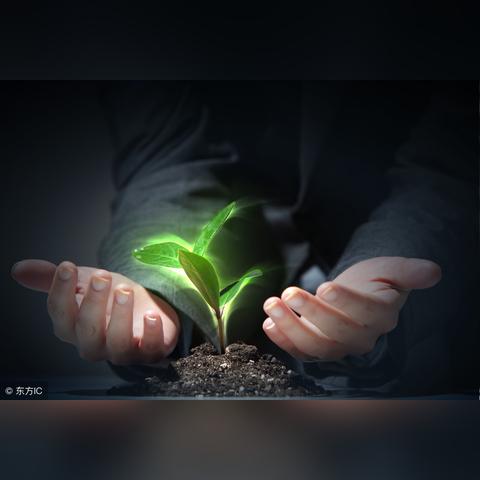 你的八字藏着哪些人生密码？这样解读更准