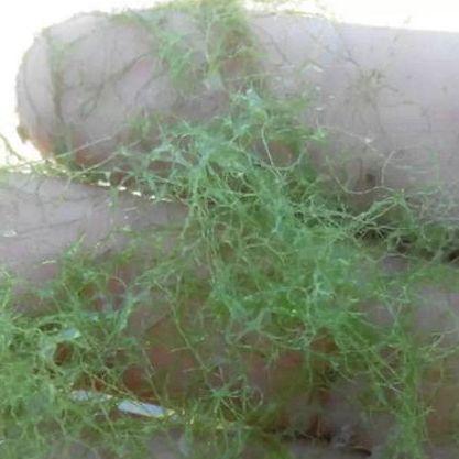 盘锦到大连瓦房店火车的相关长尾关键词有哪些