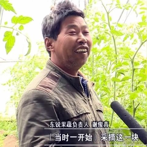 济南到庆云大巴相关长尾关键词有哪些