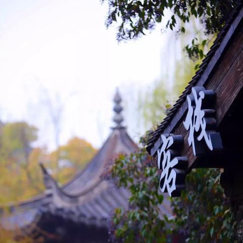 厦门咖啡一条街后海的相关长尾关键词有哪些