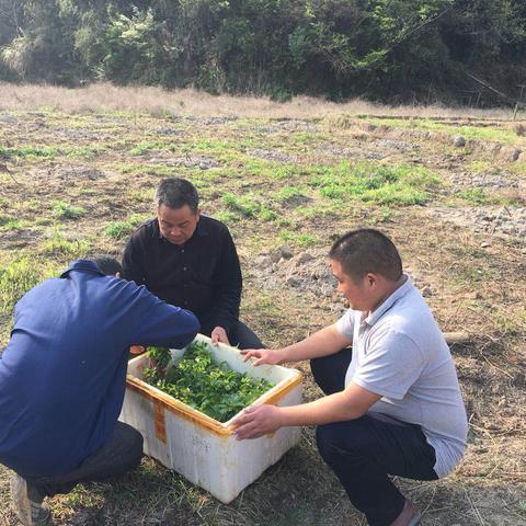 赣州市寻乌中学体考的长尾关键词有哪些