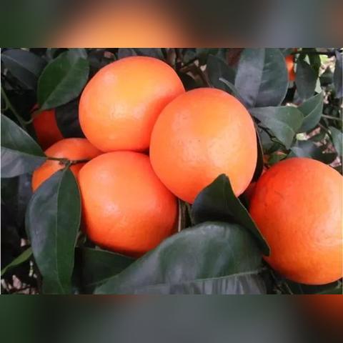 南宁市会往哪个方位扩城