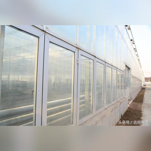 大连市哪个区有吉林银行