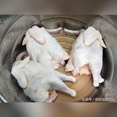 保定市乐鸡餐厅地址在哪里