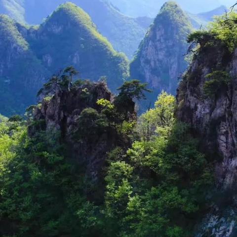 大连市离哪个国家最近