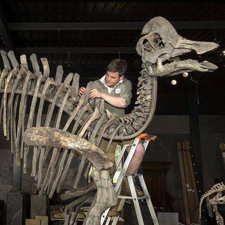 恐龙快打（恐龙快打，一场史前世界的冒险之旅）