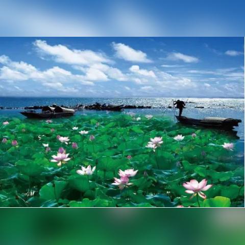 湖北武汉市哪个区最好玩