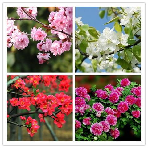 合肥二手房 梅园公寓相关长尾关键词有哪些