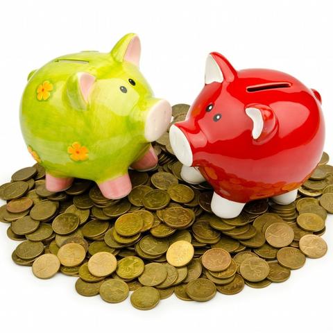 生肖猪运势与财运关系如何(属猪的运气和财气)