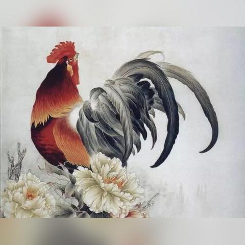 生肖鸡夏季运势如何看出(夏天属鸡人)