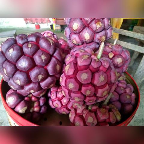 桂林新世纪医院电话号码相关长尾关键词有哪些