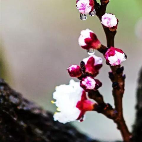 贮蓄的意思济南的冬天相关长尾关键词有哪些