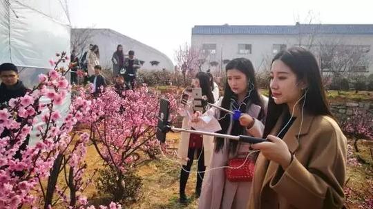 泗水赏花汇创新营销方式，旅游直播引发300万人围观