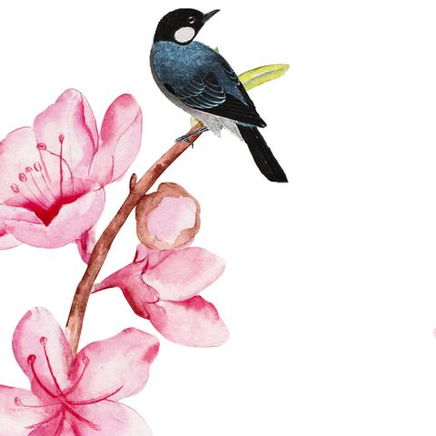 2025生肖运势6.6(2025生肖运势及运程详解)