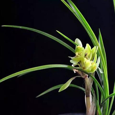 长沙市春风渡酒吧怎么样