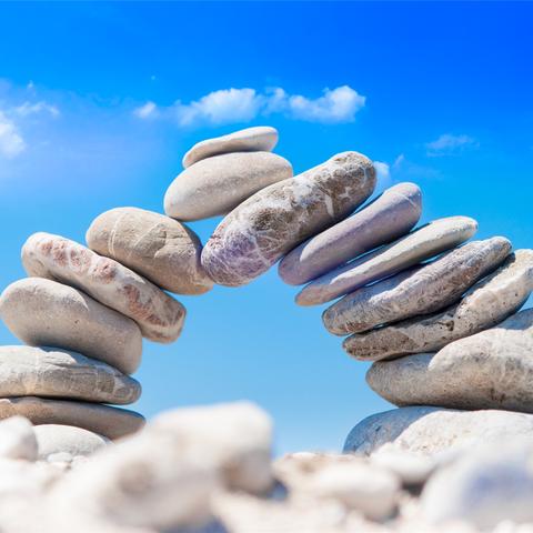 生肖猪6月26日运势(生肖猪6月26日运势)