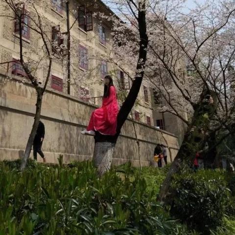 武汉市樱花节什么时候开始