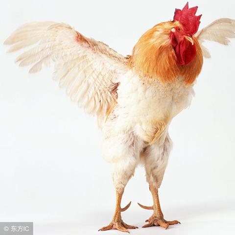 田宅宫大运到了，你的房子和家运要变天？