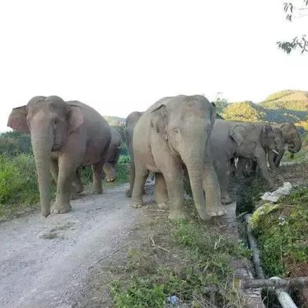 昆明市滑翔伞基地在哪里