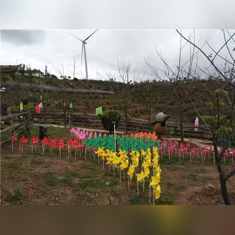 昆明市室内游泳馆在哪里