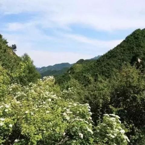 保定市银河餐厅的长尾关键词有什么