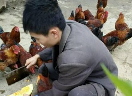 农村小伙，不顾家里人反对，执意要创业，还为父母买了养老保险