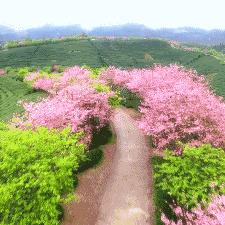 福建哪个市区最大