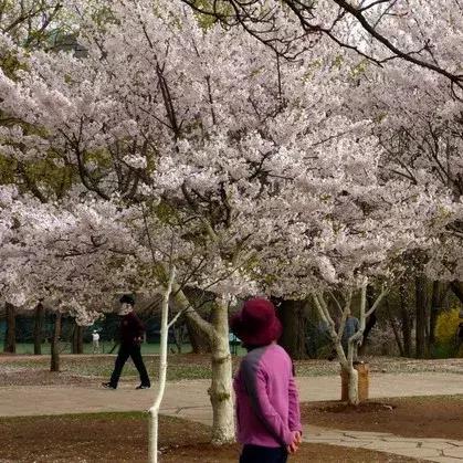 大连笔记本电脑专卖的相关长尾关键词有哪些