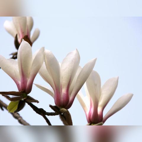 潍坊市春风南路在哪里啊