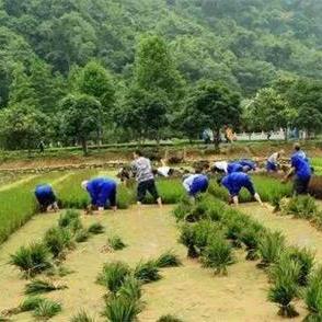 送财神顺口溜大全的长尾关键词是什么