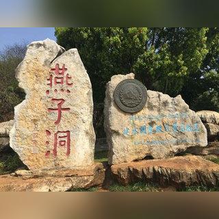 大连市金州有个德什么乡