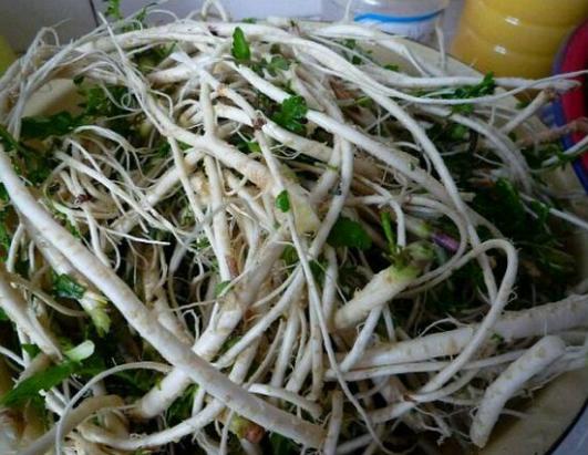 美食营养为什么重要（为什么说它补血补气）