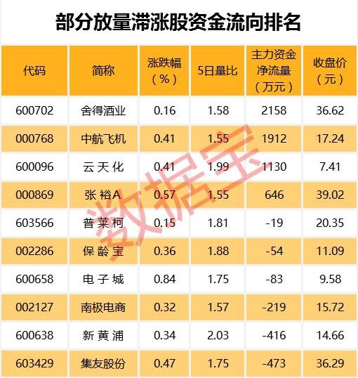 气势如虹！创业板暴涨逾50家涨停，但表现最好的创业板股竟是它们