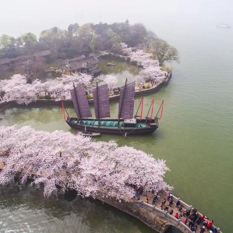 无锡市的四季风景在哪里