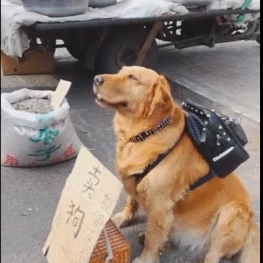 天价宠妻宠 总裁夫人休想逃txt下载的长尾关键词有什么