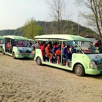 河南内乡赤眉怎么样