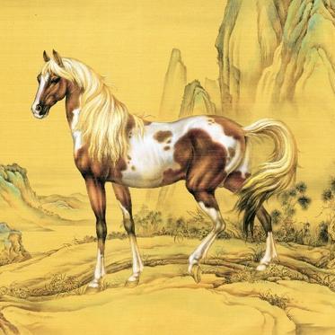 生肖马近一月运势(生肖马近一月运势及运程)