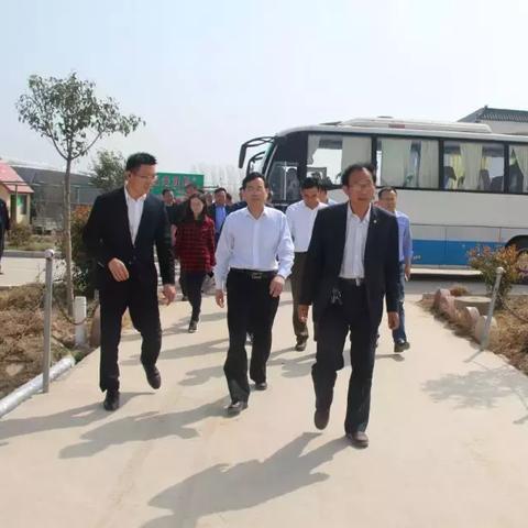 菏泽市蔬菜产量多少吨