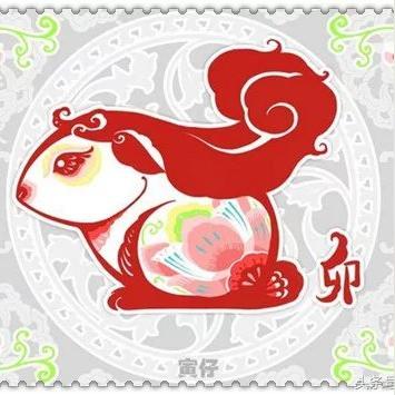 兔的十二生肖运势(兔的十二生肖运势怎么样)
